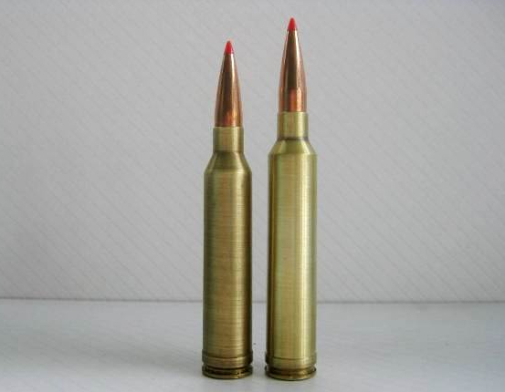 Left To Right 300 Wsm 300 Win Mag 300 Wby Mag 300.