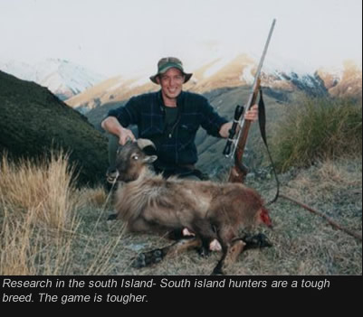 South_Island.jpg