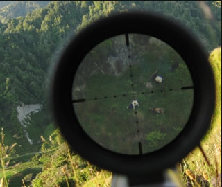 Precision_long_Range.jpg