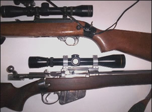 Ruger1 Ruger1
